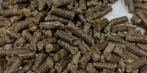 Wood Pellet