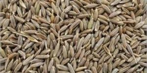 Cumin Seeds