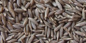 White Cumin Seeds