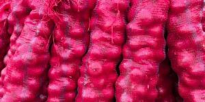 Red Onion