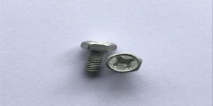 Phillip Head Bolt