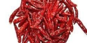 Dried Red Chilli