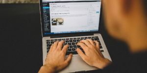 WordPress Web Development Services