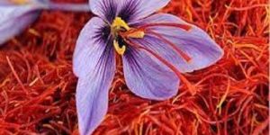 Kashmiri Saffron