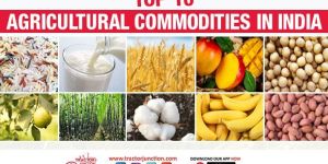 Agricultural Commodities