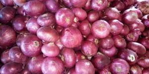Fresh Red Onion