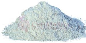 Dehydrated White Onion Powder