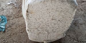 Raw Cotton Bale