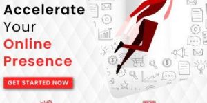 Social Media Management Services