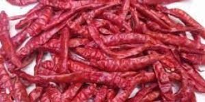 Red Chilli