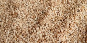 Sesame Seeds