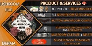 Mushroom Cultivation Training