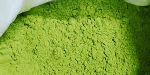 Dried Moringa Powder