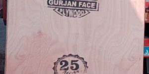 Semi Hardwoods Plywood