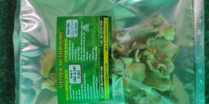 Dry Oyster Mushroom