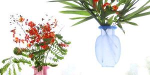 Removable Silicone Flower Vases