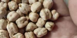 Kabuli Chana