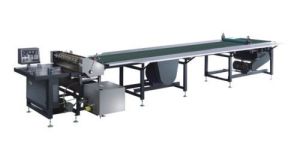 Gluing Machine