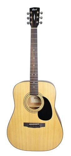 Acoustic Guitar