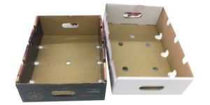 5x1.5x10 Inch Vegetable Corrugated Box