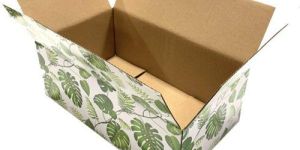 6x4x3 Inch Printed Corrugated Box