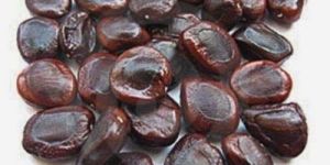 Tamarind Seeds