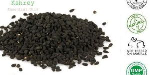 Black Cumin Seed Oil