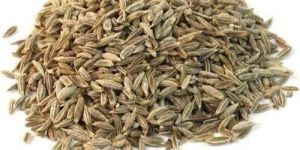 Cumin Seeds