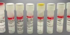 RT PCR Test Kit