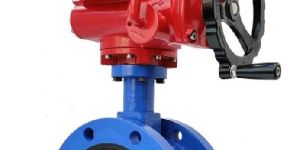 Double Flanged End Butterfly Valves