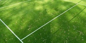 Volleyball Ground Artificial Turf Court