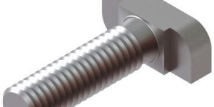 SS T Head Bolt