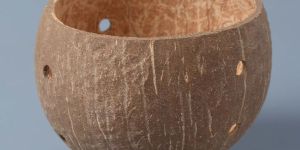 Round Coconut Shell Planters