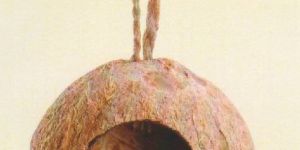 Single Hole Shell Bird Feeder