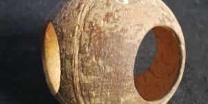 Three Way Coconut Reptile Shelter