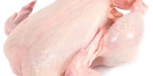 Chicken Meat