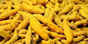 Turmeric Finger