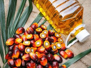 Palm Oil