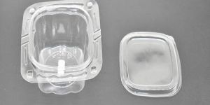 Blister Transparent Packaging Tray