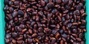 Tamarind Seed