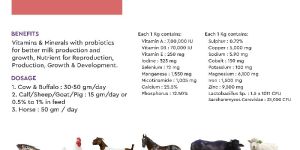 Anima V Cattle Feeds Supplements