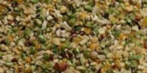 Mix Pulses Animal Feed