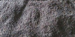 Shilajit Extract