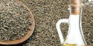 Ajwain Oil