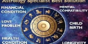 Astrologers Services