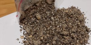 Castor De Oiled Cake