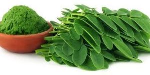 Moringa Leaf Powder