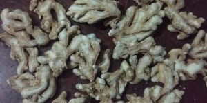 Dry Ginger