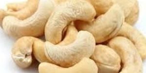 Cashew Nut