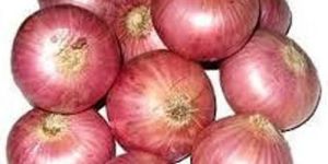 Fresh Red Onion